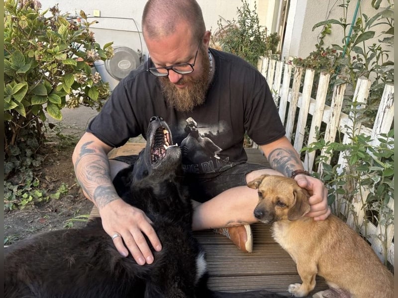 Entzückender Schatz mit Handicap sucht Zuhause