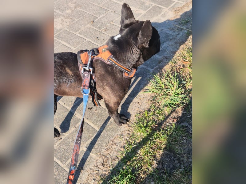 Unser kleiner Krümel mit Handicap