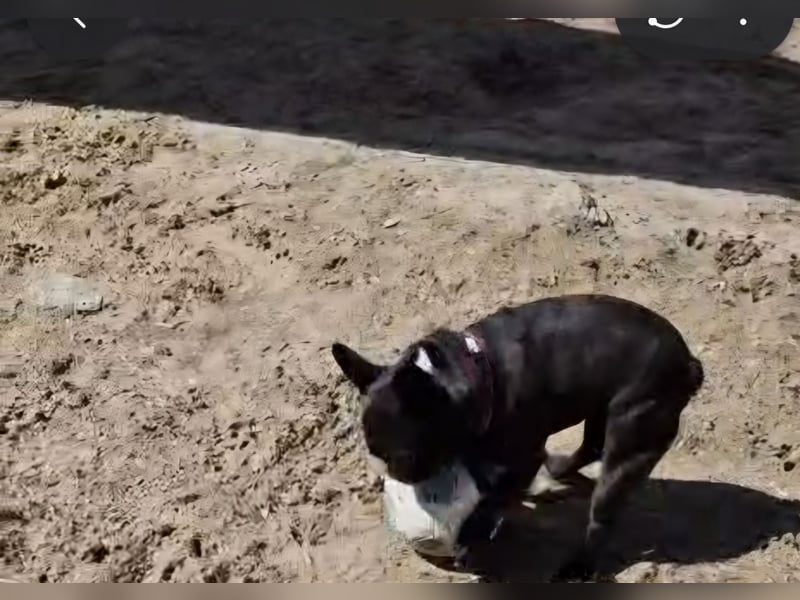 Unser kleiner Krümel mit Handicap