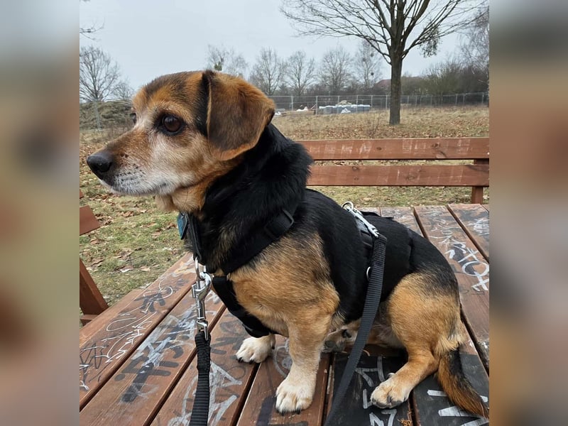 Moritz - begegnet allen Menschen offen (12621 Berlin)