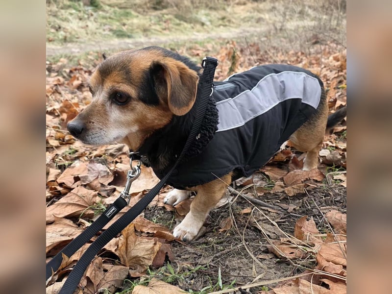 Moritz - begegnet allen Menschen offen (12621 Berlin)