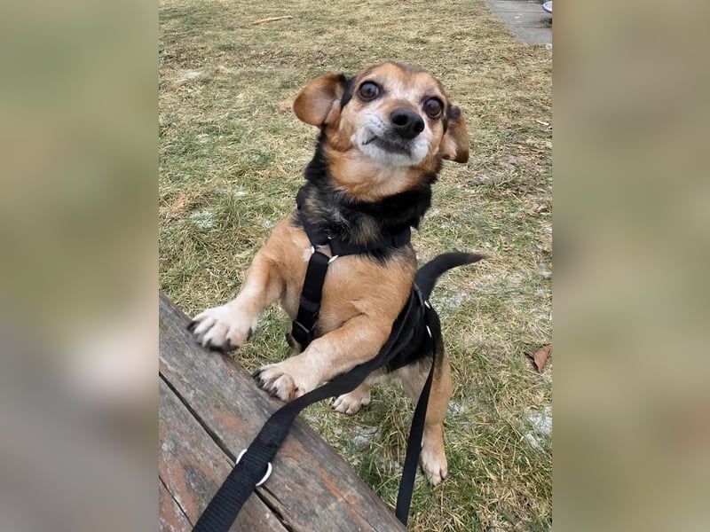 Moritz - begegnet allen Menschen offen (12621 Berlin)