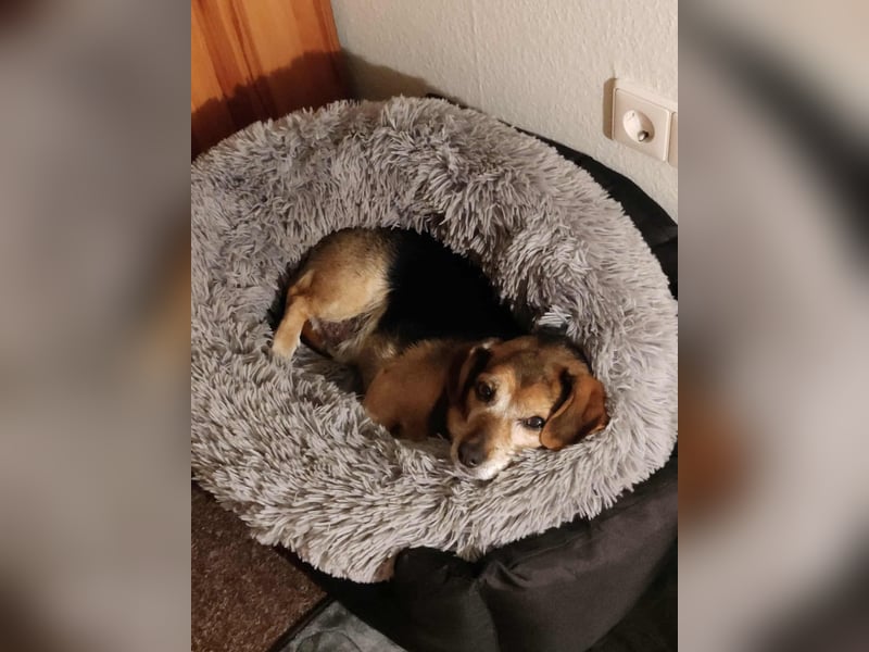 Moritz - begegnet allen Menschen offen (12621 Berlin)