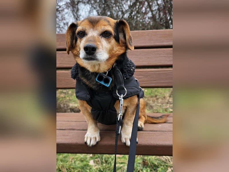 Moritz - begegnet allen Menschen offen (12621 Berlin)