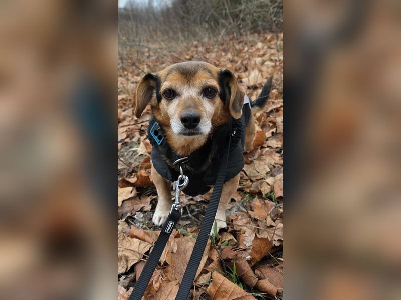 Moritz - begegnet allen Menschen offen (12621 Berlin)