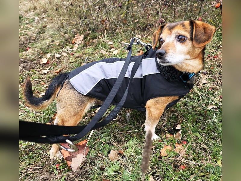 Moritz - begegnet allen Menschen offen (12621 Berlin)