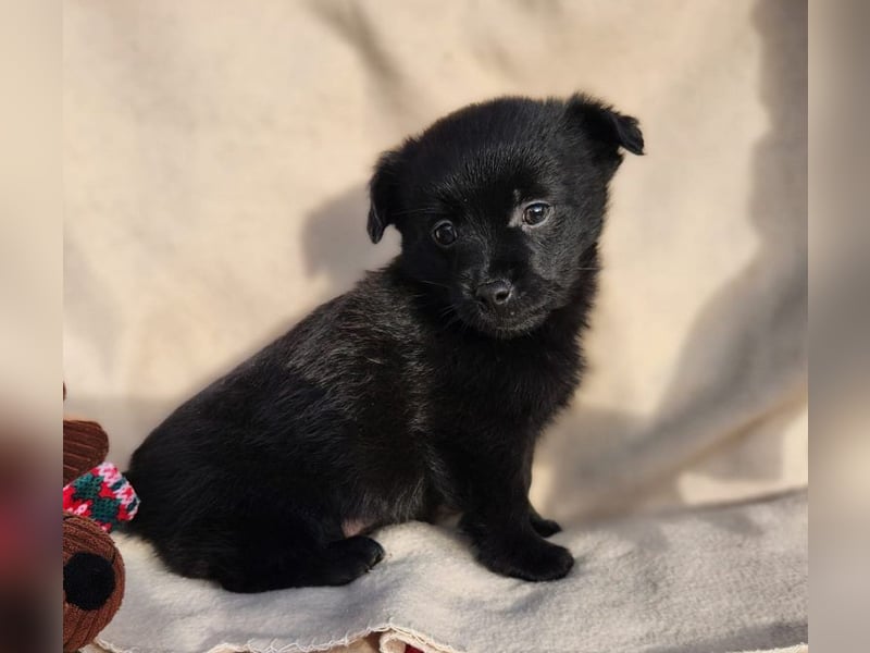 F2 sucht Geborgenheit