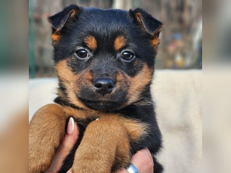 F3 sucht Geborgenheit