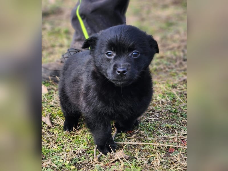 F2 sucht Geborgenheit