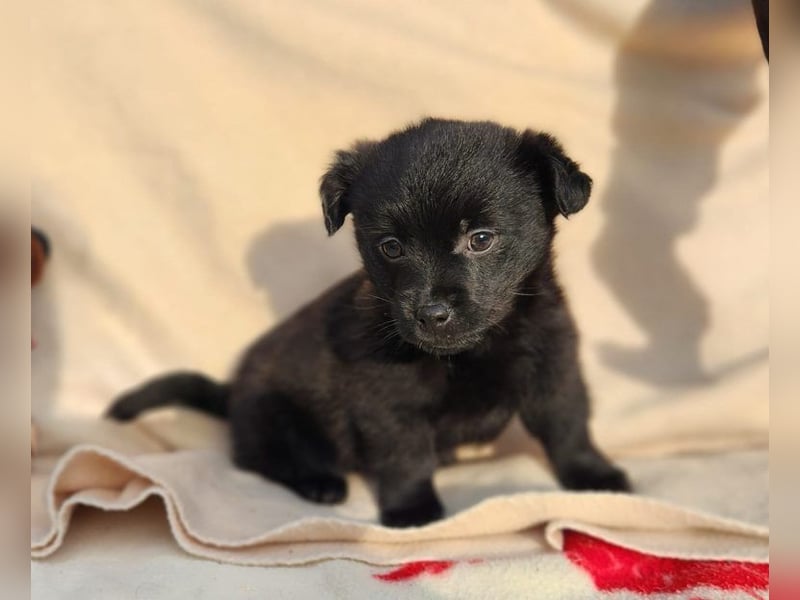 F2 sucht Geborgenheit