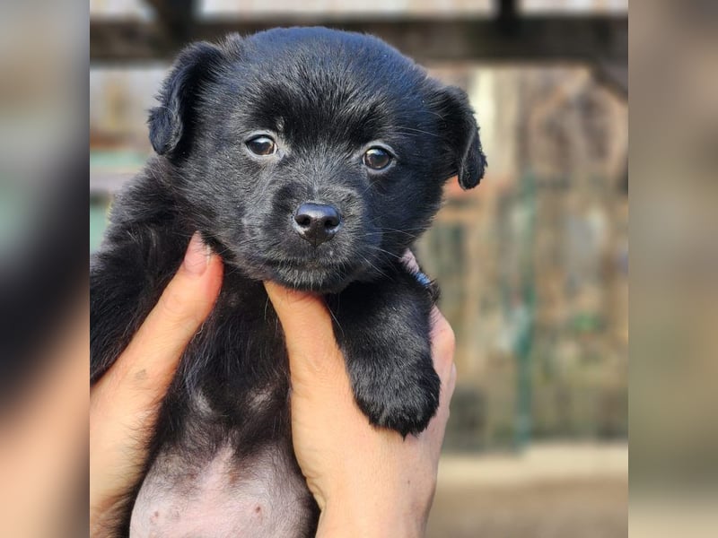 F2 sucht Geborgenheit