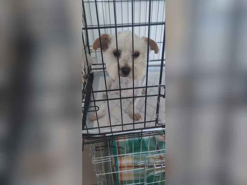 Berti sucht seine Familie