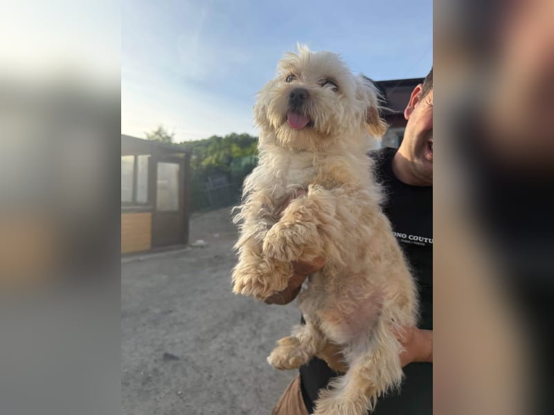 Berti sucht seine Familie