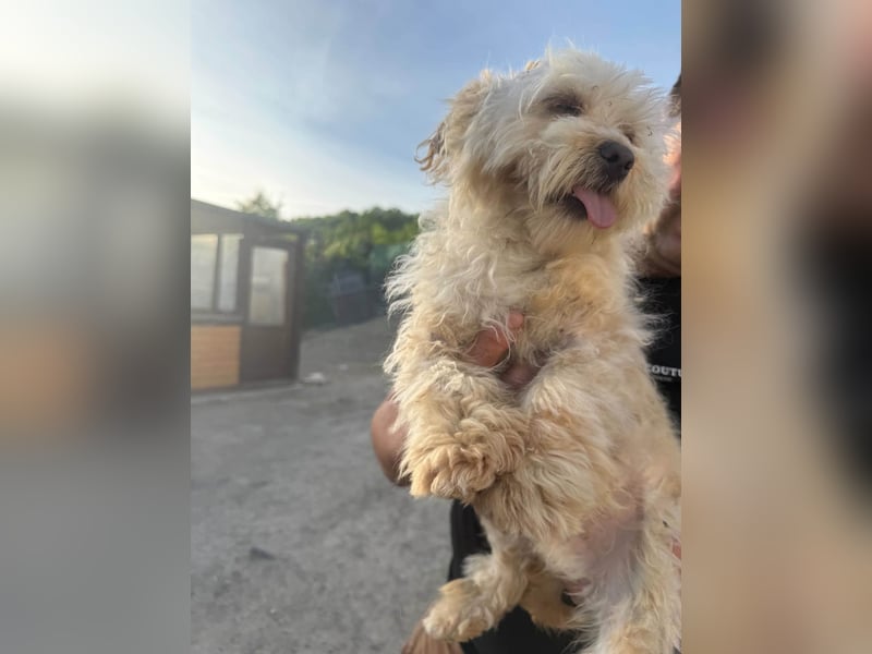 Berti sucht seine Familie