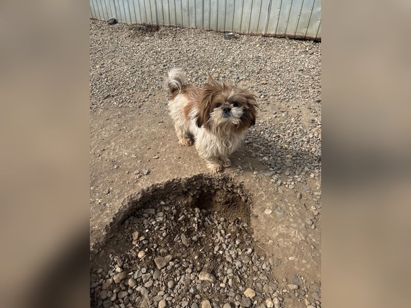 Sky sucht Ihre Menschen!