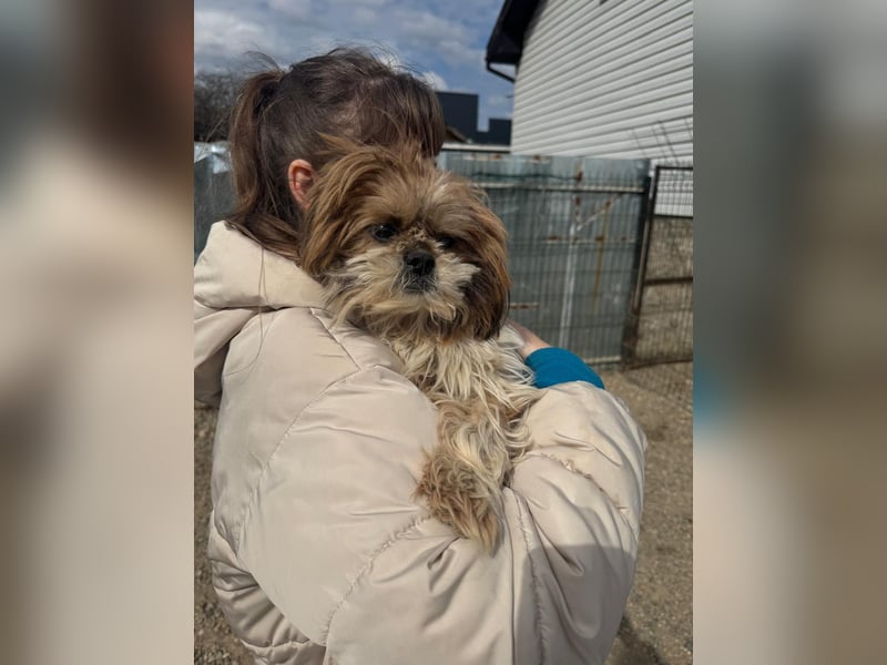 Sky sucht Ihre Menschen!