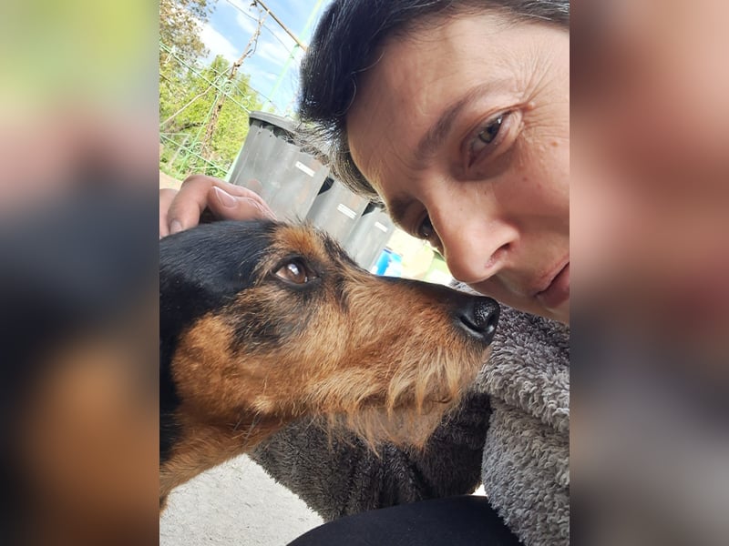 Bebe - Dackelmix sucht seine Familie!