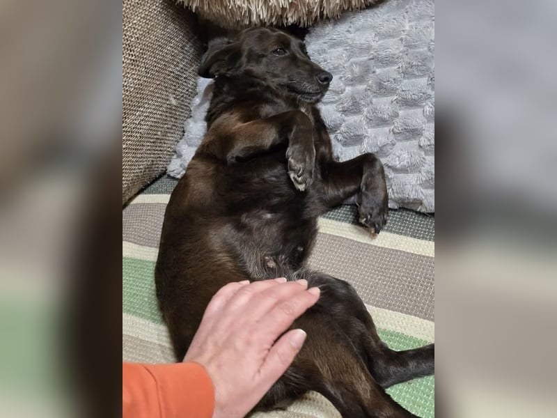 PAULA sucht ihr ruhiges Glück