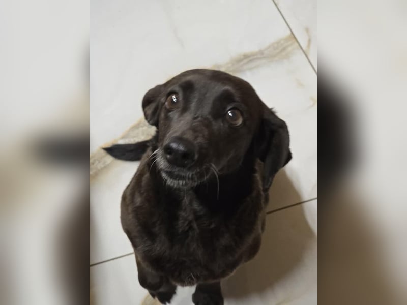 PAULA sucht ihr ruhiges Glück