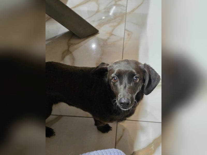 PAULA sucht ihr ruhiges Glück