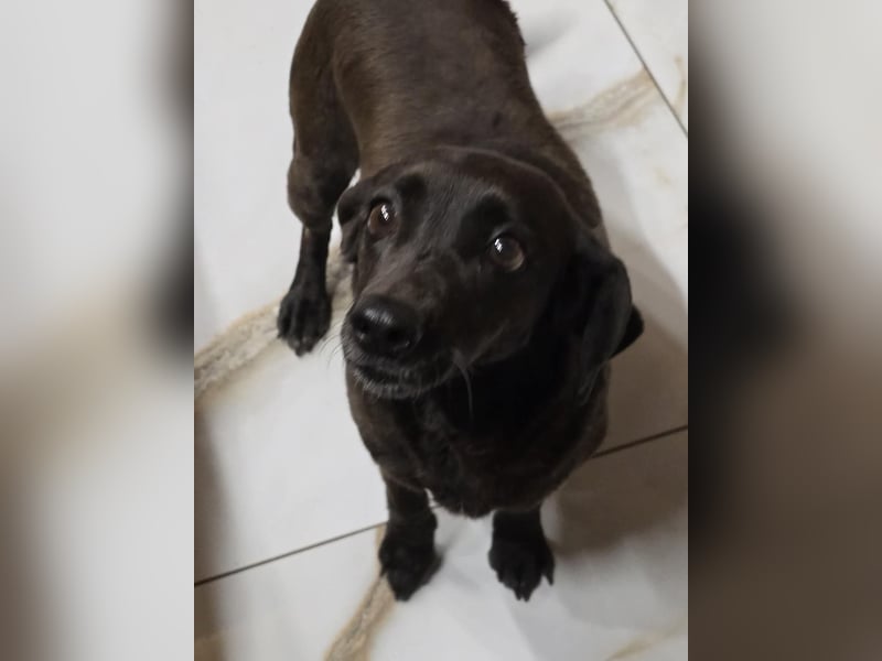 PAULA sucht ihr ruhiges Glück