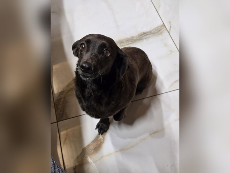 PAULA sucht ihr ruhiges Glück