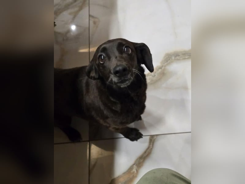 PAULA sucht ihr ruhiges Glück