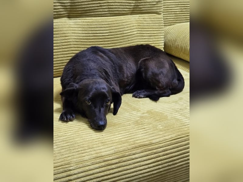 PAULA sucht ihr ruhiges Glück