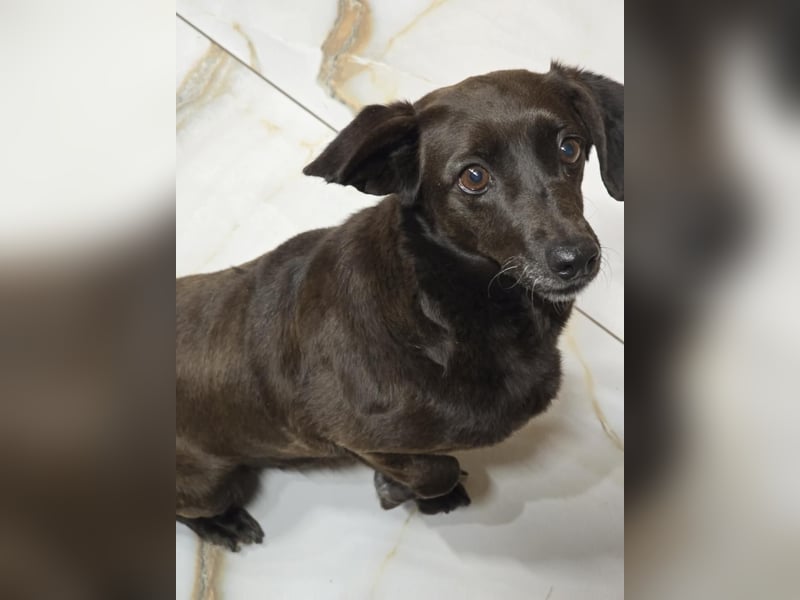 PAULA sucht ihr ruhiges Glück