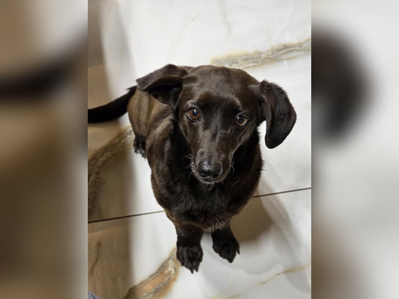 PAULA sucht ihr ruhiges Glück