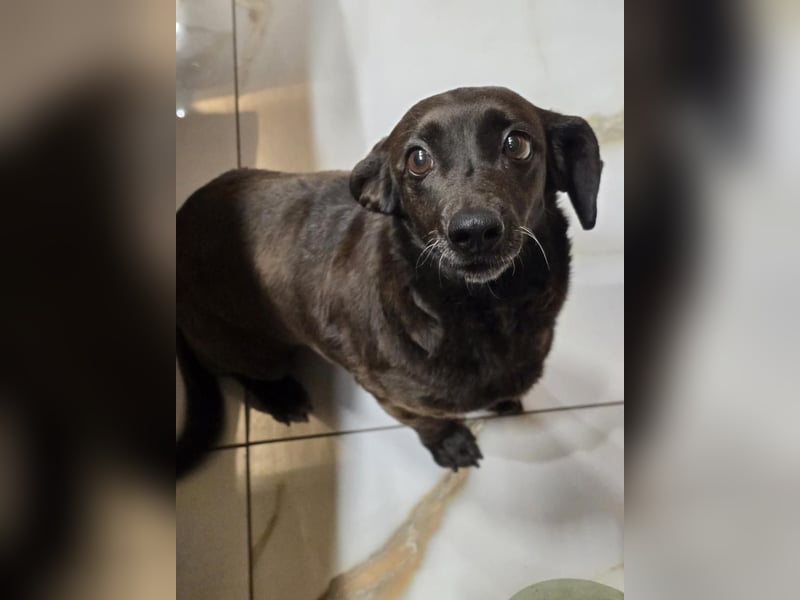 PAULA sucht ihr ruhiges Glück