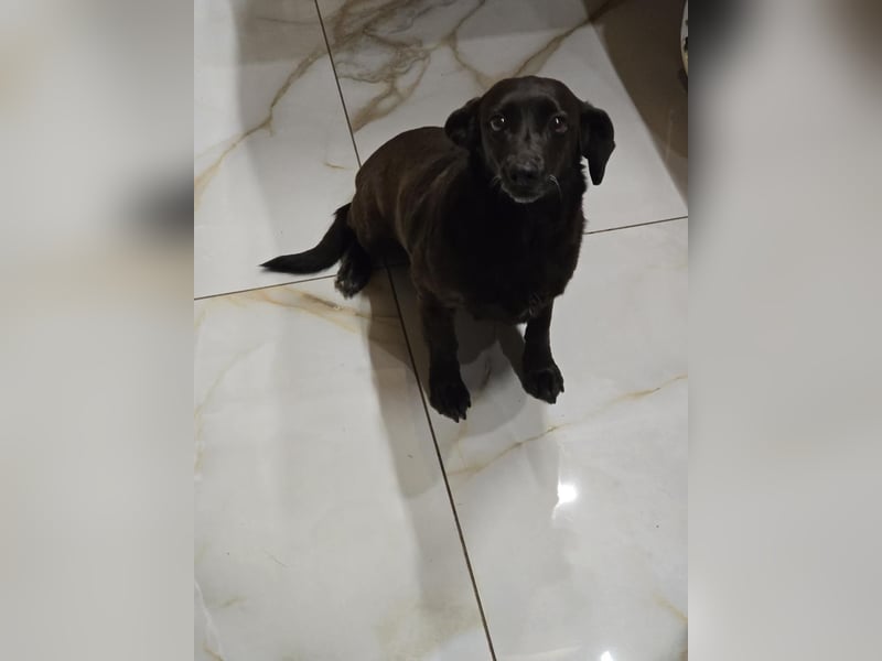 PAULA sucht ihr ruhiges Glück