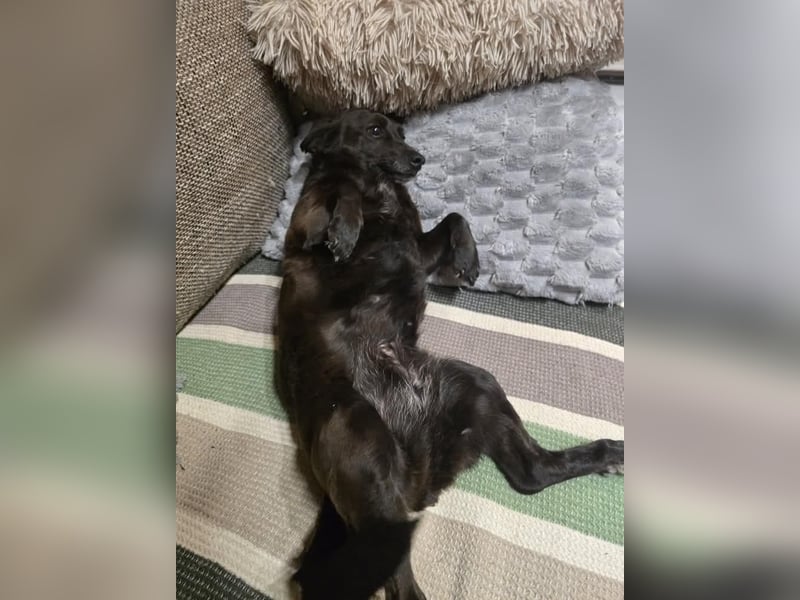 PAULA sucht ihr ruhiges Glück