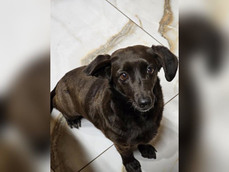 PAULA sucht ihr ruhiges Glück