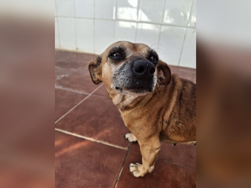 GITANA