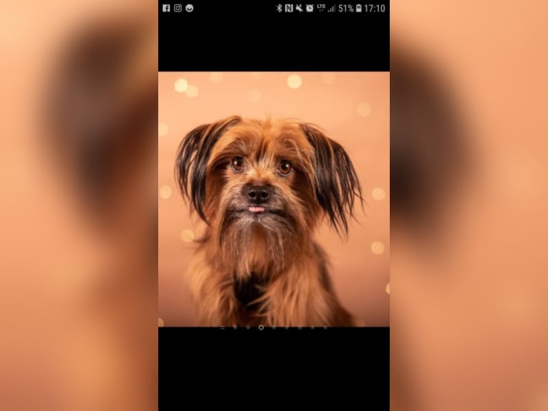 Powerprinzessin Holly hat Ihren eigenen Kopf