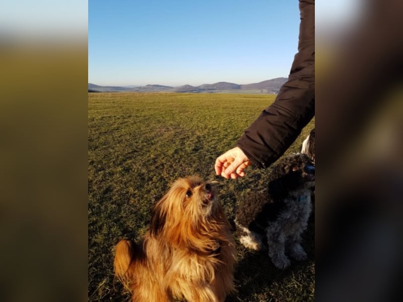 Powerprinzessin Holly hat Ihren eigenen Kopf