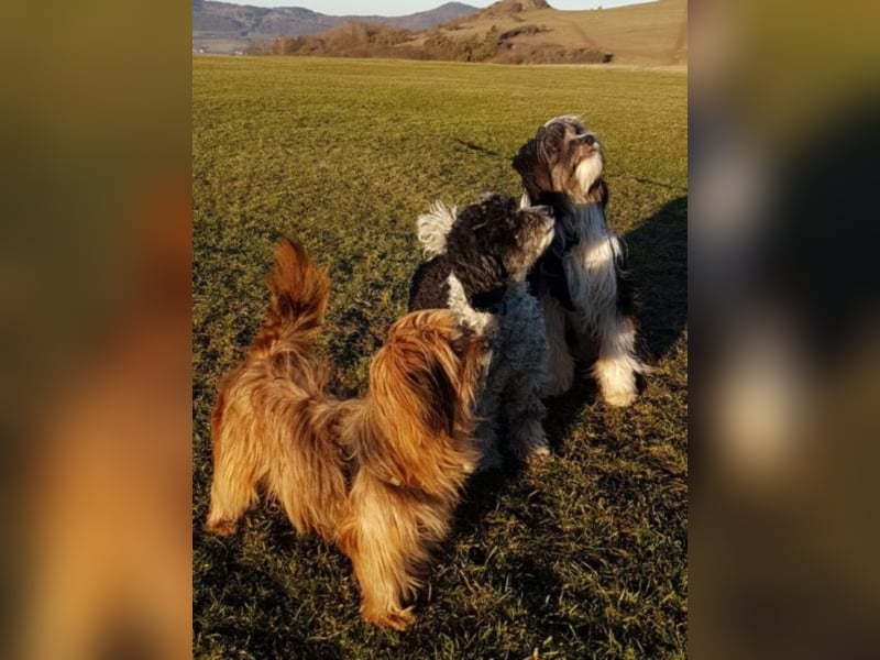 Powerprinzessin Holly hat Ihren eigenen Kopf