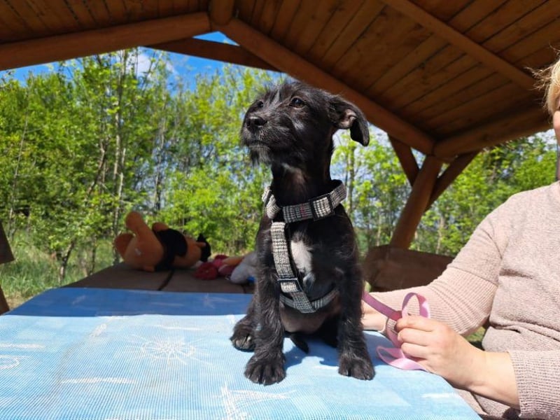 Wilma, lebensfrohe Entdeckerin, ca. 2 Monate, ca. 24 cm, ca. 4,1 kg