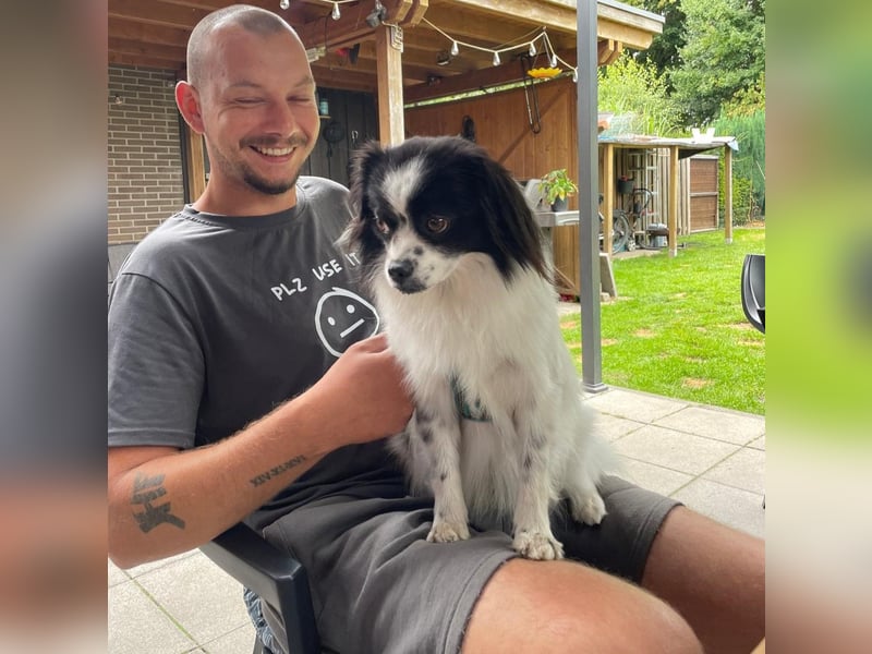 Maxi wartet in 41379 Brüggen