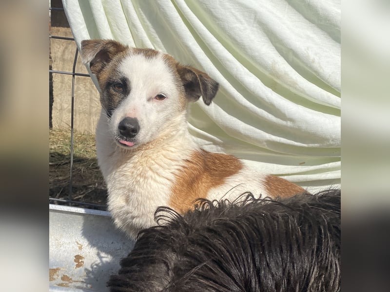 Minja - lernwillig und schüchtern