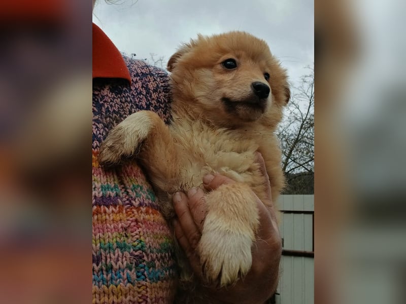 Gero - freundlich und verspielt