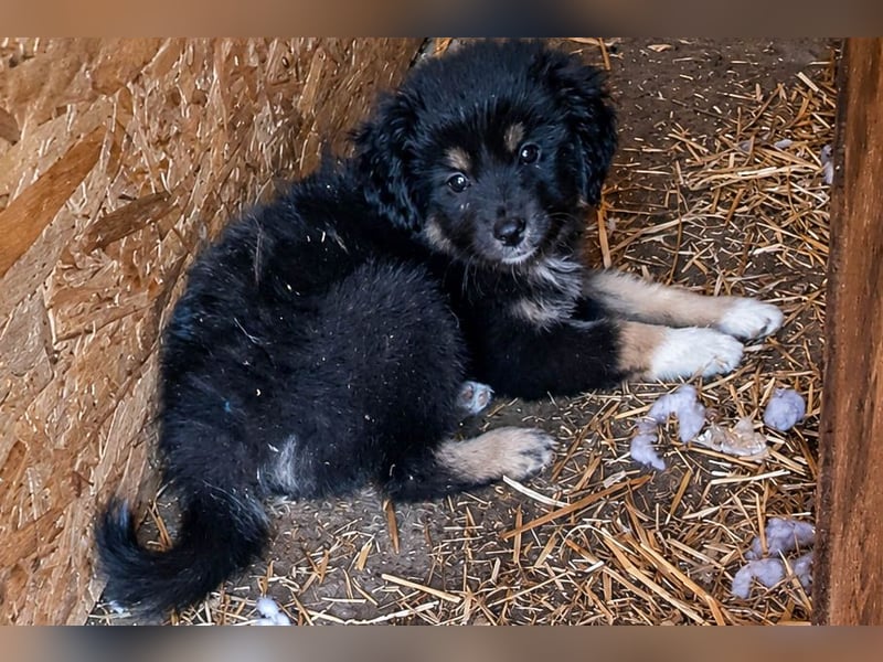 18M ist ein kleiner, flauschiger Herzensbrecher