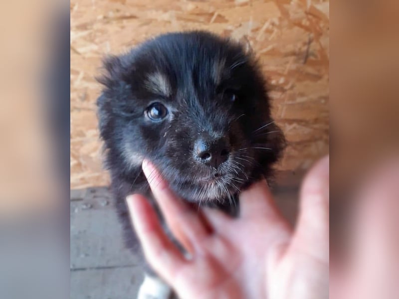 18M ist ein kleiner, flauschiger Herzensbrecher