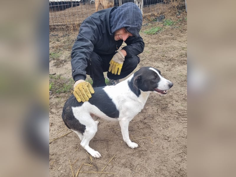 Cukor sucht ihr Glück!