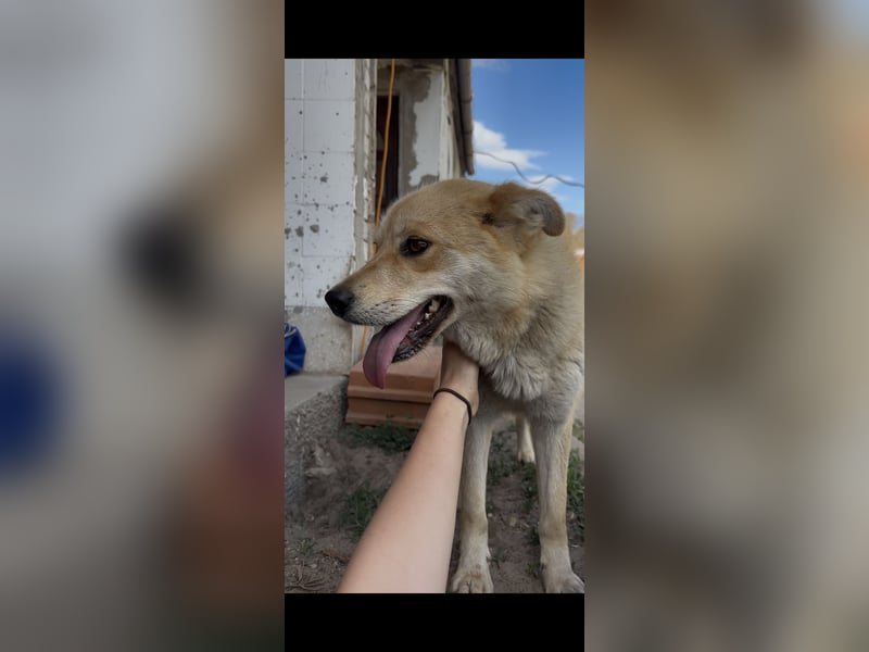 Kira – ein Lächeln, das Herzen erobert ❤️