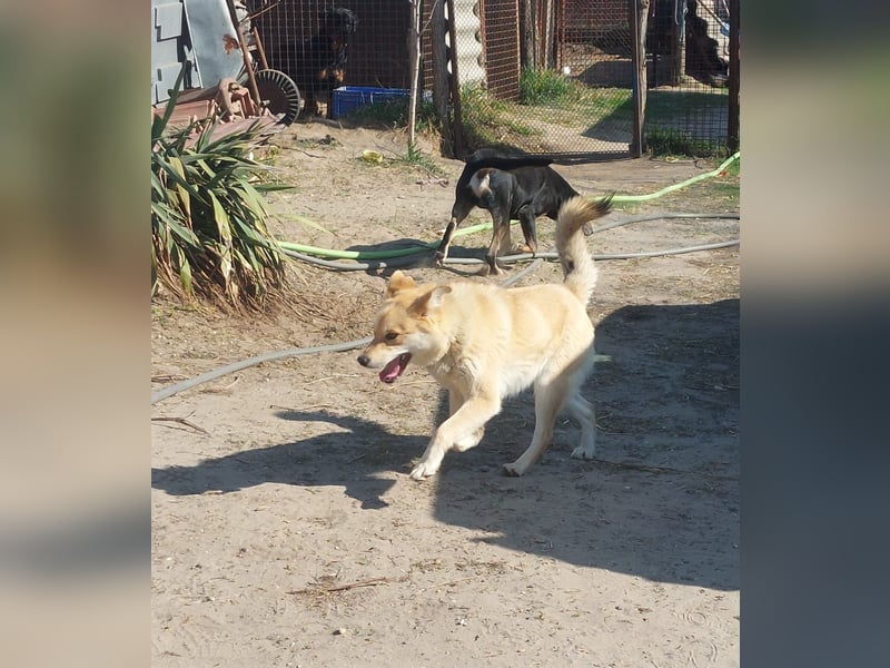 Kira – ein Lächeln, das Herzen erobert ❤️
