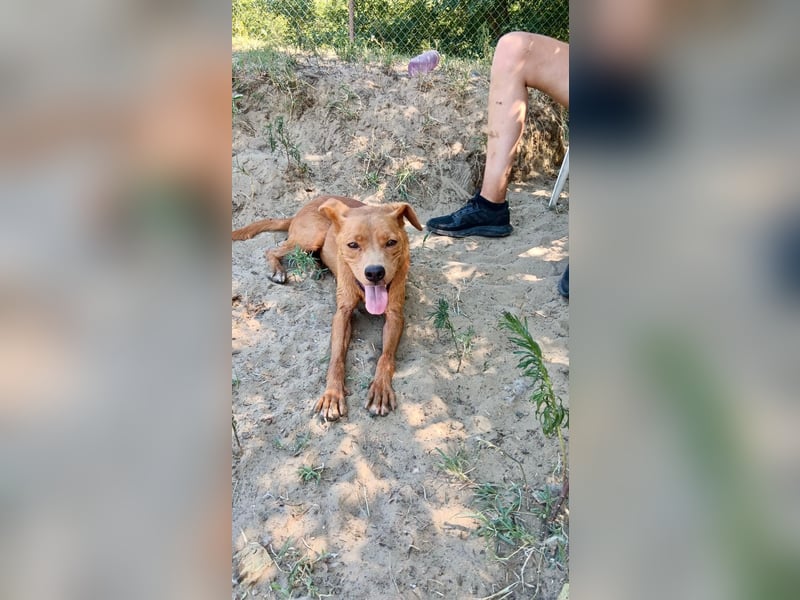 Lia die Weltentdeckerin sucht ihre Familie