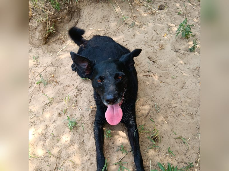 Die liebe Lujzi wartet schon sooo lange!