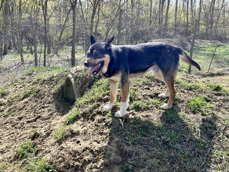 Borso möchte das Leben leben!